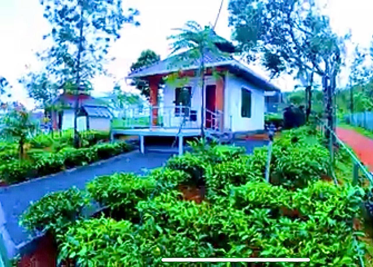 Collection O 811106 Ashiyana Homes, Kakkanad Kochi, Kochi